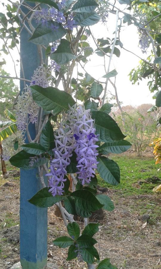 Mérida Finca Montana Sagrada מראה חיצוני תמונה
