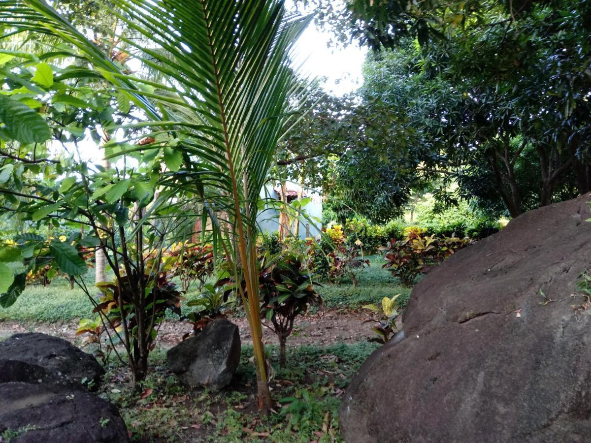 Mérida Finca Montana Sagrada מראה חיצוני תמונה